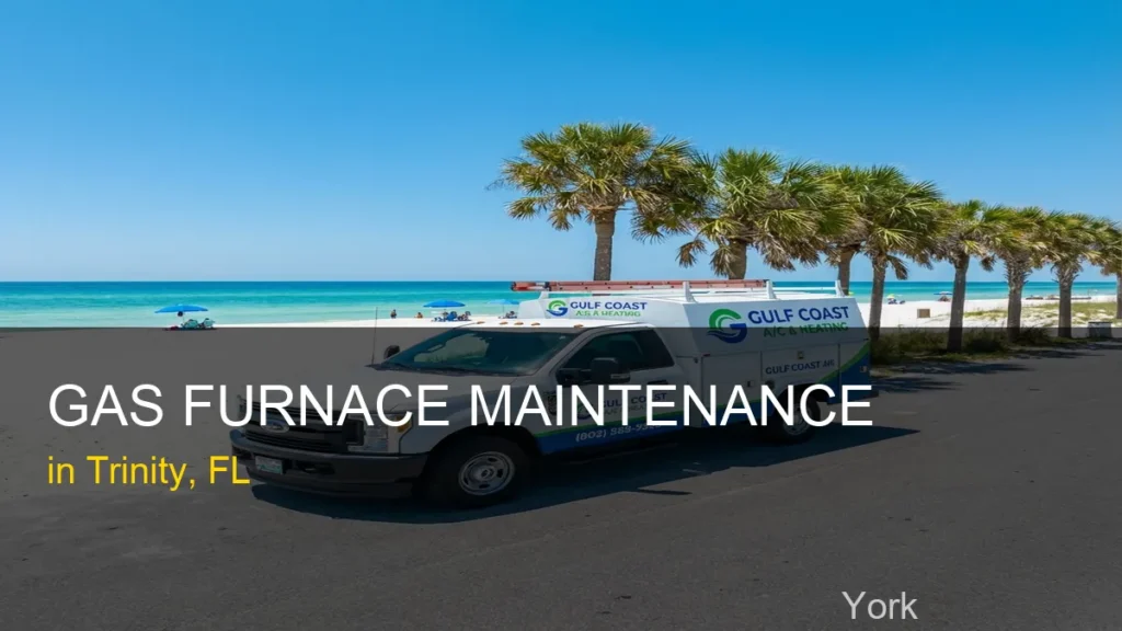 Gas Furnace Maintenance in Trinity - York