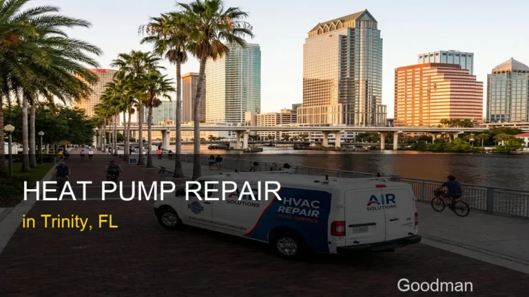 Heat Pump Repair in Trinity - Goodman