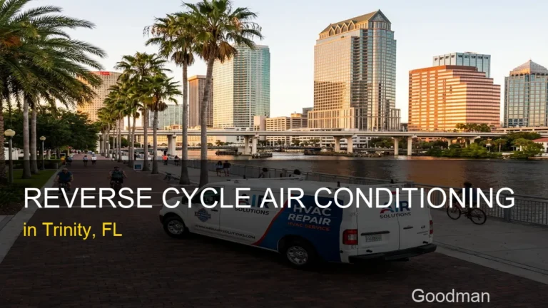 Reverse Cycle Air Conditioning in Trinity - Goodman