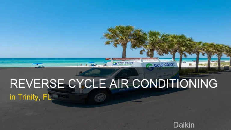 Reverse Cycle Air Conditioning in Trinity - Daikin