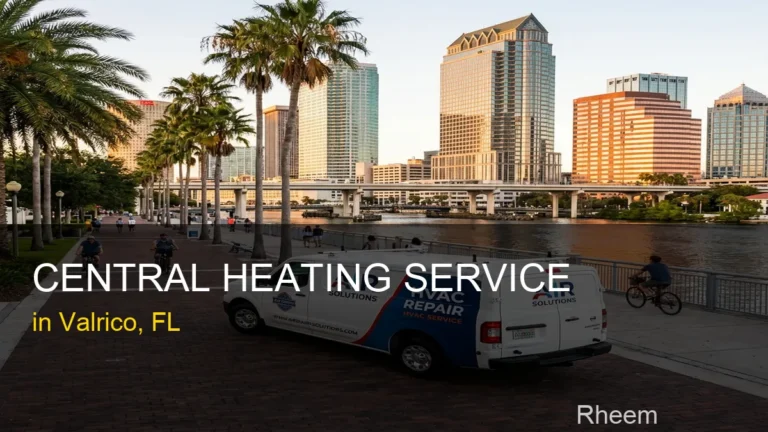Central Heating Service in Valrico - Rheem
