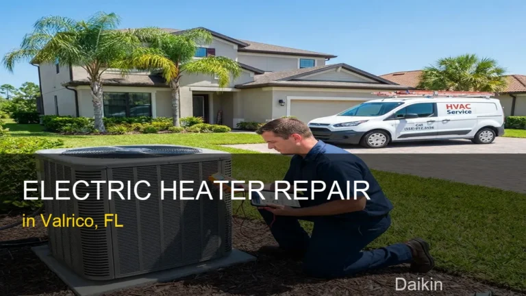 Electric Heater Repair in Valrico - Daikin