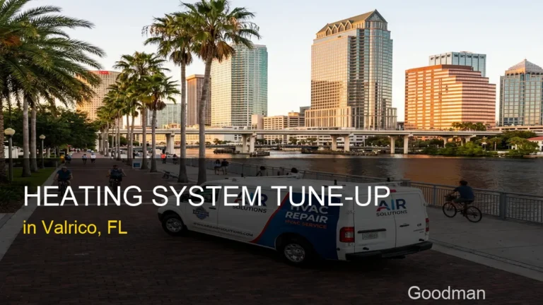 Heating System Tune-Up in Valrico - Goodman
