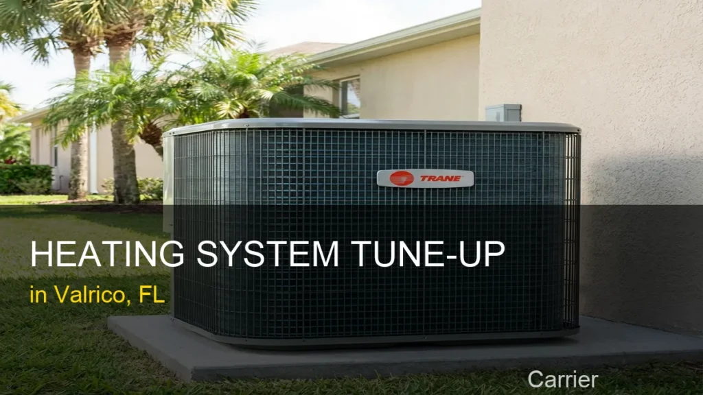 Heating System Tune-Up in Valrico - Carrier