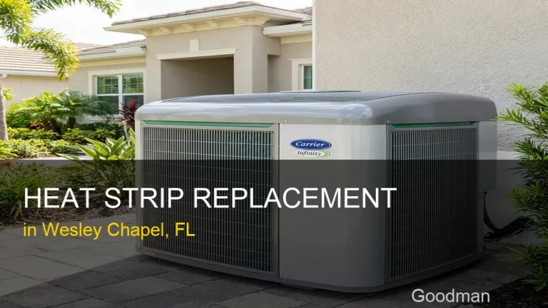 Heat Strip Replacement in Wesley Chapel - Goodman