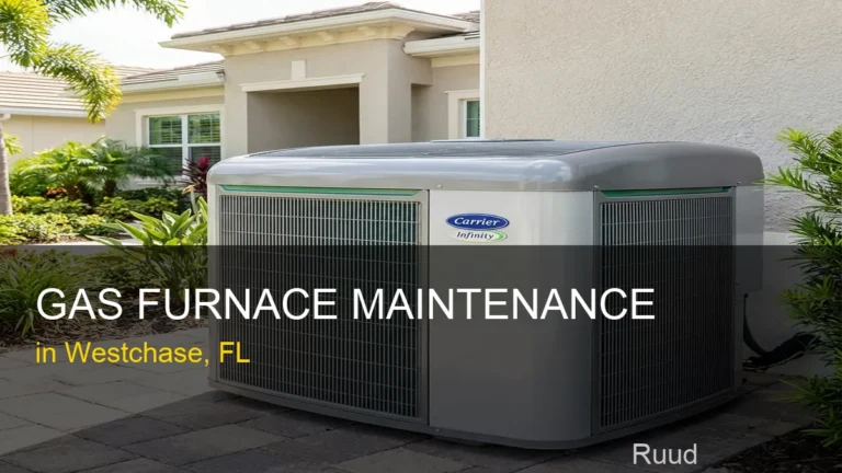 Gas Furnace Maintenance in Westchase - Ruud