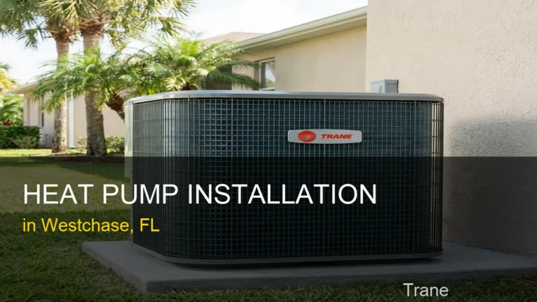 Heat Pump Installation in Westchase - Trane