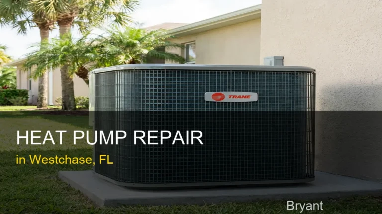 Heat Pump Repair in Westchase - Bryant