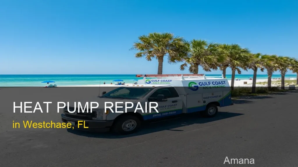 Heat Pump Repair in Westchase - Amana