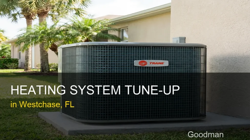 Heating System Tune-Up in Westchase - Goodman