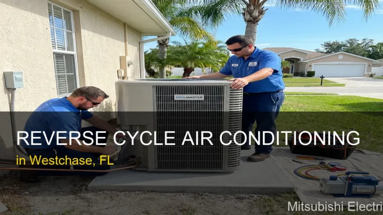 Reverse Cycle Air Conditioning in Westchase - Mitsubishi Electric