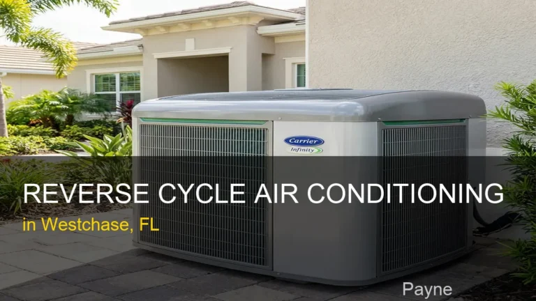 Reverse Cycle Air Conditioning in Westchase - Payne